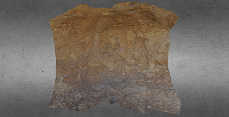 3D model of right hand area of Cova dels Cavalls, real color.