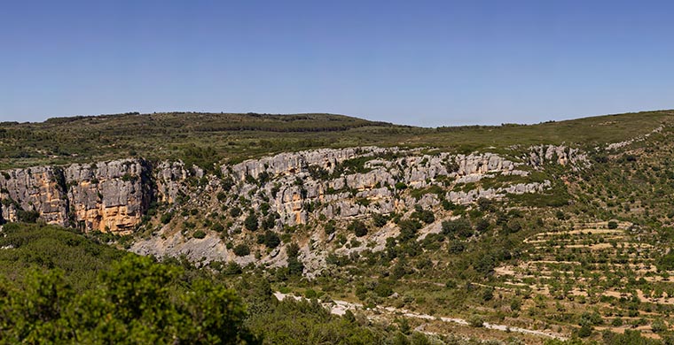 View of the landscape where Cova dels Cavalls is located.