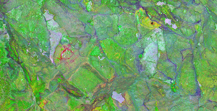 Gigapixel image of the right area of Cova Alta del Lledoner, false color.