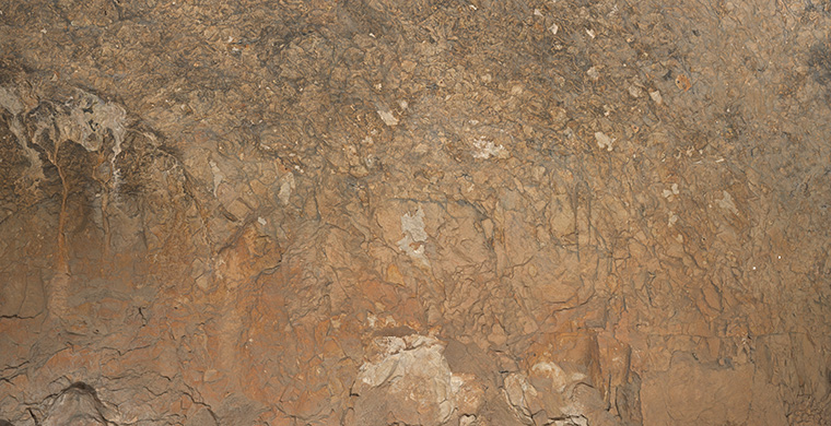 Gigapixel image of the right hand area of Cova Alta del Lledoner, real color.