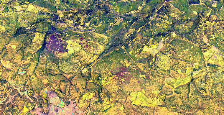 Gigapixel image of the left area of Cova Alta del Lledoner, false color.